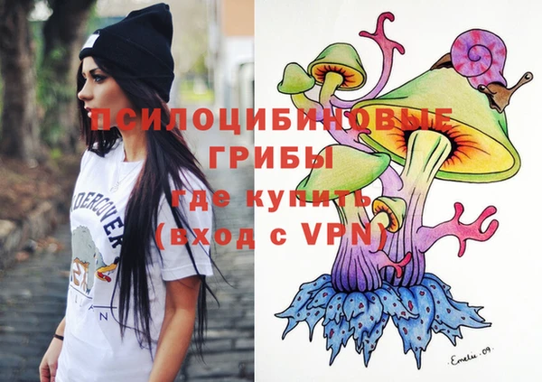 МДПВ Мегион